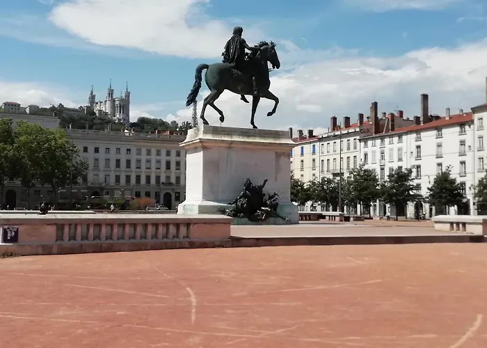 Nest In Heart Of Lyon