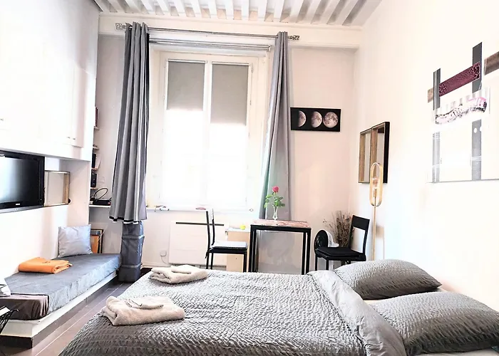 Nest In Heart Of Lyon
