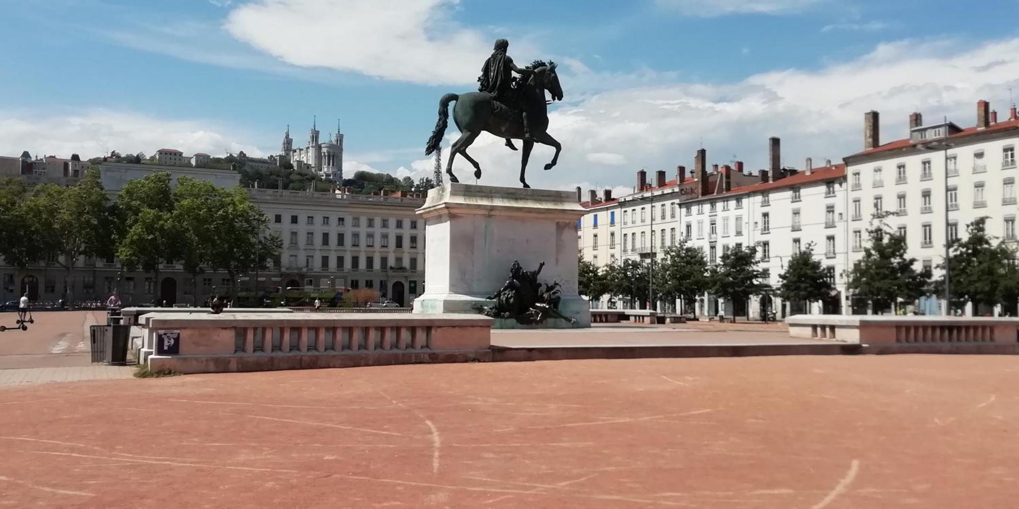 Nest In Heart Of Lyon